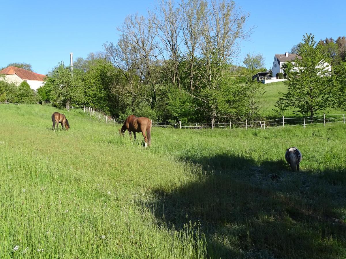 Monteurwohnung In Warstein Kültér fotó
